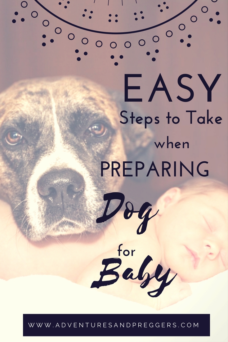 Preparing Dog For Baby- Easy Steps To Take When Preparing Dog For Baby