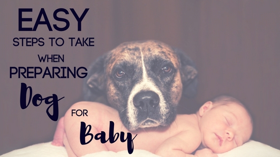 Preparing Dog For Baby- Easy Steps To Take When Preparing Dog For Baby